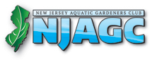 New Jersey Aquatic Gardeners Club - Powered by vBulletin